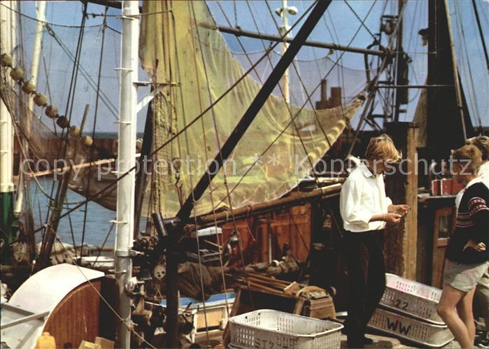Fischerei Krabbenfischer im Hafen Wyk-Föhr