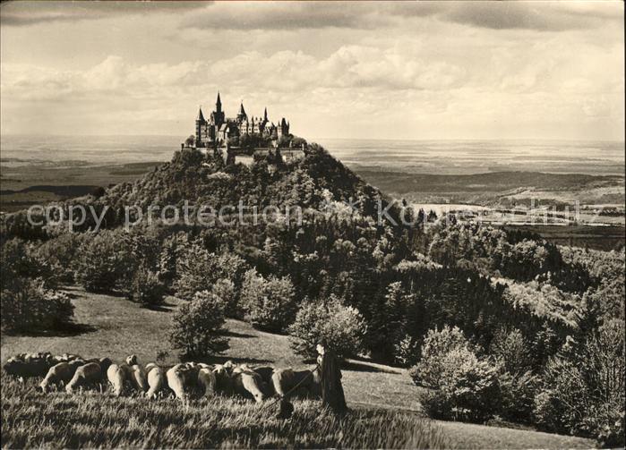 Hirte Schafe Burg Hohenzollern