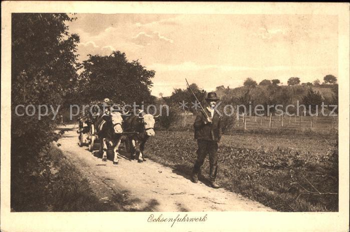 Verlag Elchlepp Nr. 57 Ochsenfuhrwerk