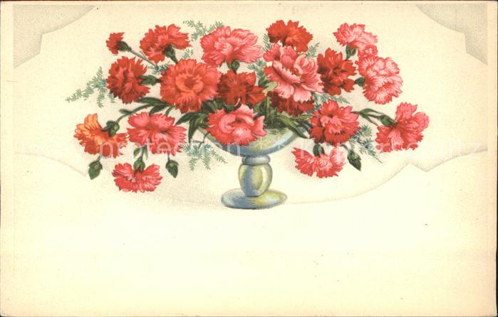 Blumen Nelken