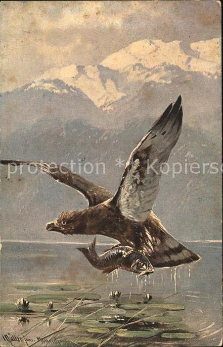 Voegel Adler Künstlerkarte Fisch
