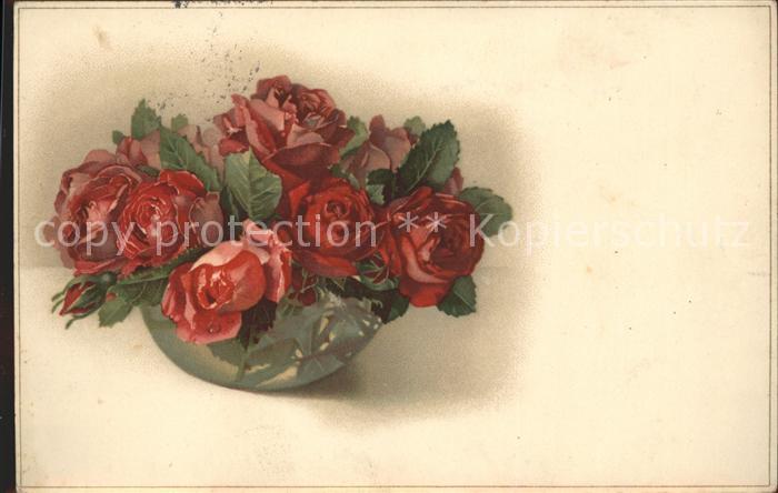 Blumen Rosen