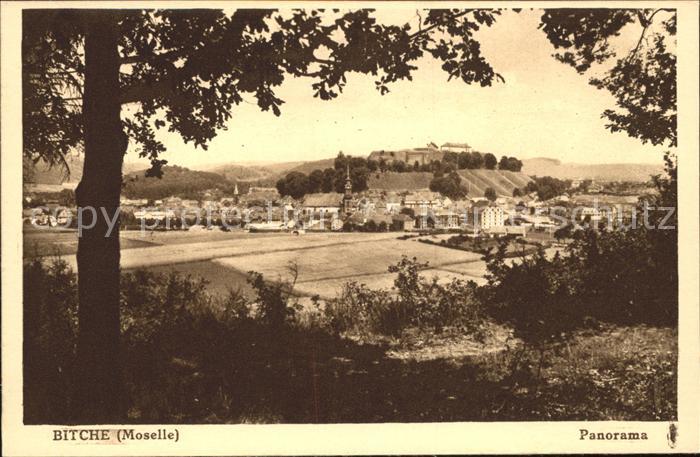 Bitche Moselle Gesamtansicht