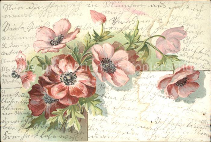 Blumen