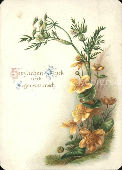 Blumen Glück Segenswunsch