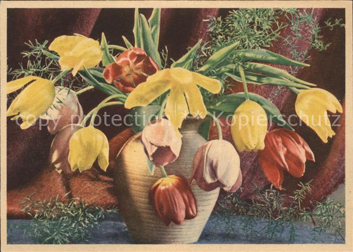 Blumen Tulpen Vase