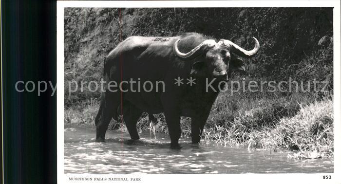 Nationalpark Murchison Falls National Park