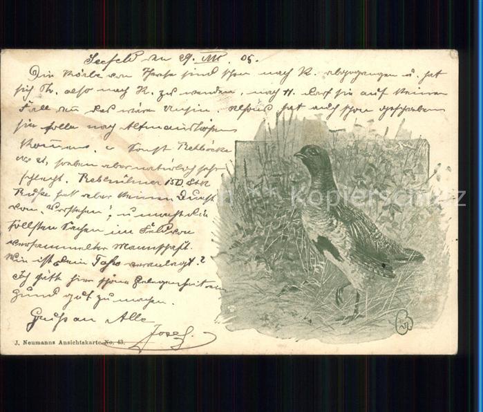 Voegel Birds Oiseaux Uccelli Pajaros--