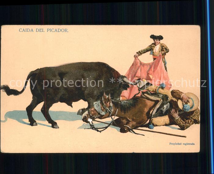 Stierkampf Caida del Picador