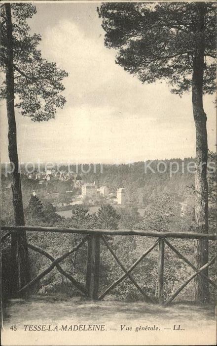 Tesse la Madeleine Vue generale