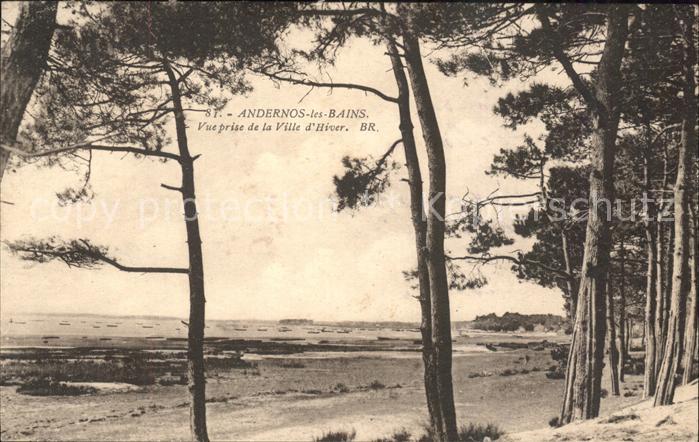 Andernos-les-Bains Vue prise de la Ville d_Hiver
