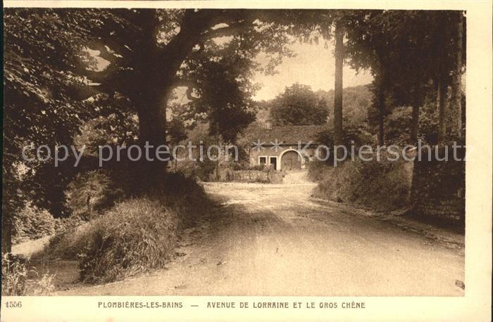Plombieres-les-Bains Vosges Avenue de Lorraine et le Gros Chene