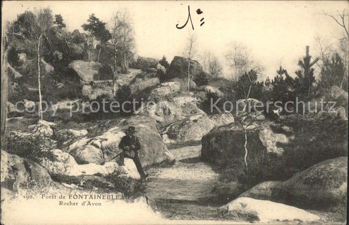 Fontainebleau Seine et Marne Foret Rocher d_Avon