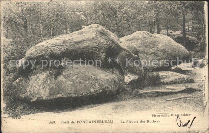 Fontainebleau Seine et Marne Foret La Pieuvre des Rochers
