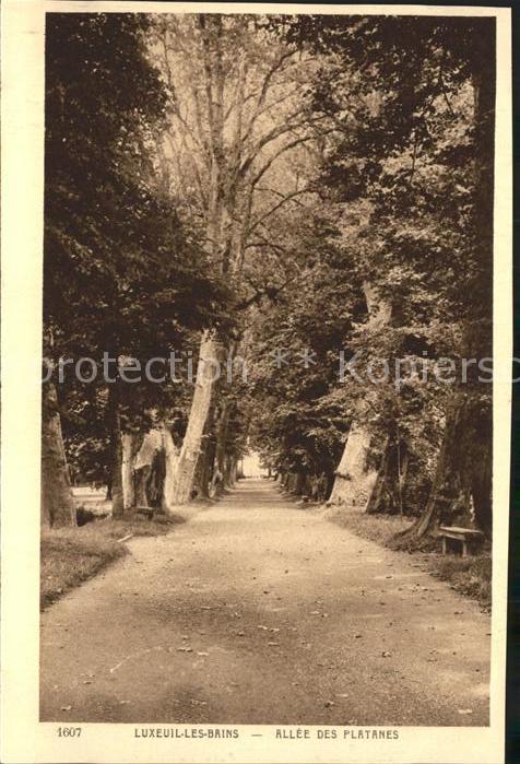 Luxeuil-les-Bains Allee des Platanes