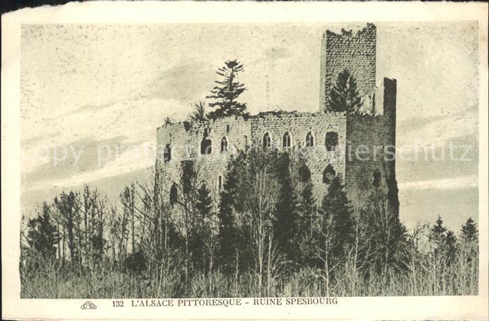 Andlau Ruine Chateau de Spesbourg