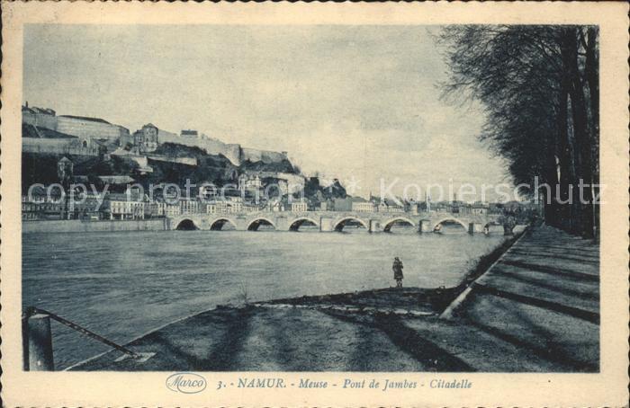 Namur Wallonie Bords de la Meuse Pont de Jambes Citadelle
