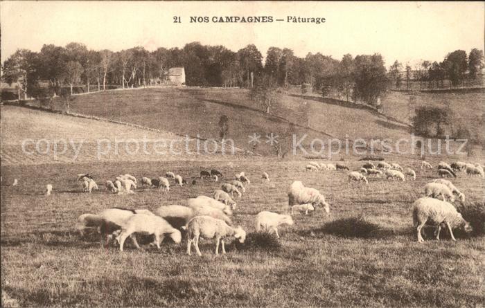 Normandie Region Paturage