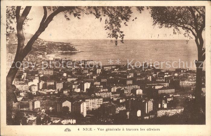 Nice Alpes Maritimes Vue generale a travers les oliviers Cot