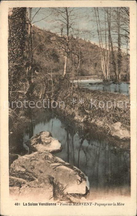 Mervent Foret Paysage sur la Mere