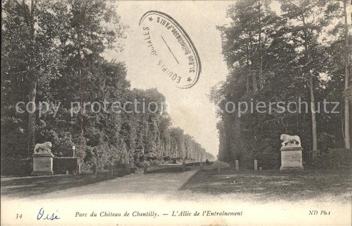 Chantilly Parc du Chateau Allee de l'Entrainement