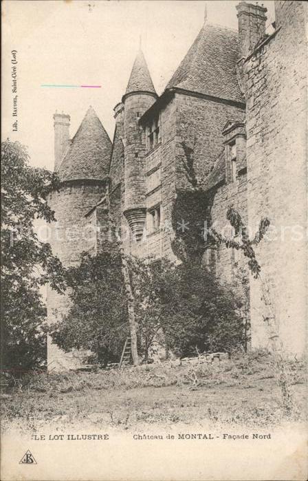 Saint-Cere Chateau de Montal Facade Nord Serie Le