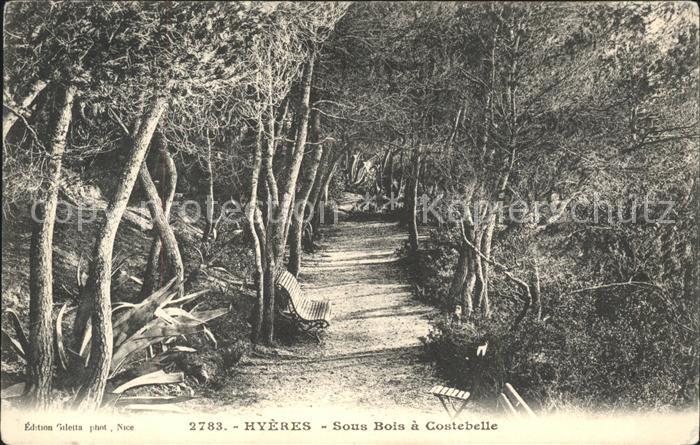 Hyeres Sous Bois a Costebelle
