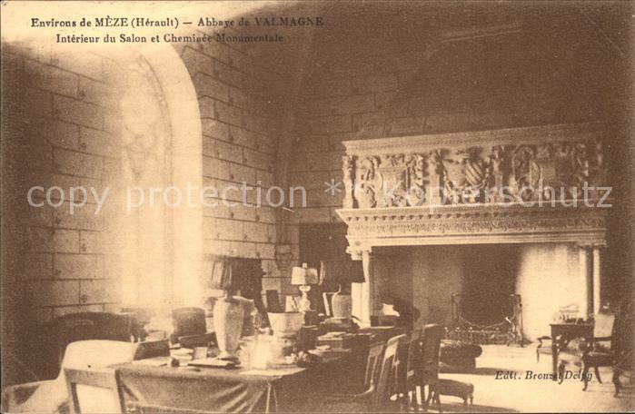 Meze Abbaye de Valmagne Salon Cheminee Monum