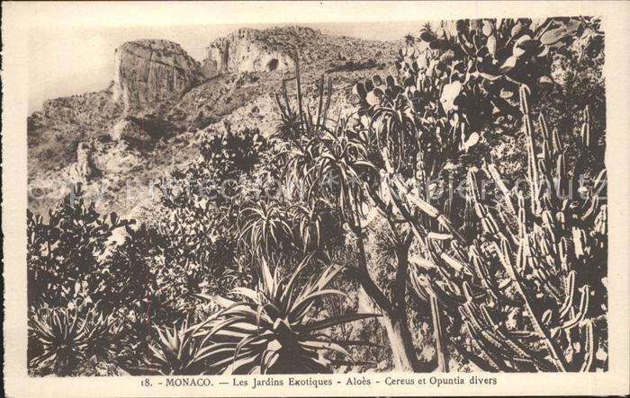 Kakteen Monaco Jardins Exotiques Aloes