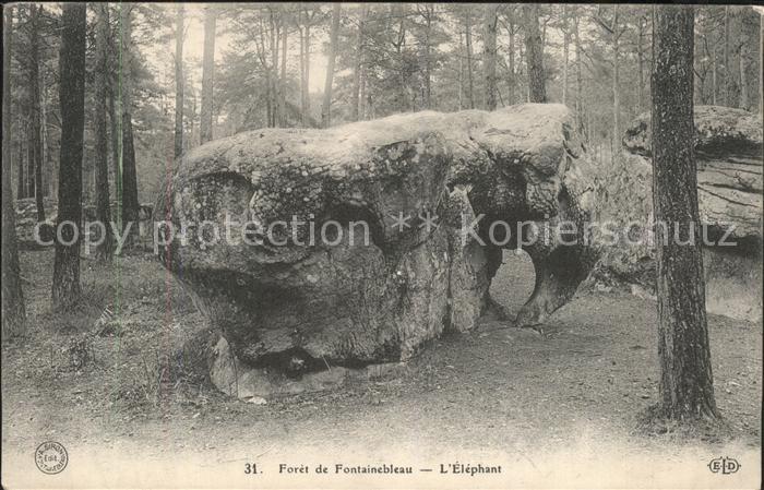 Elefant Foret de Fontainebleau Elephant