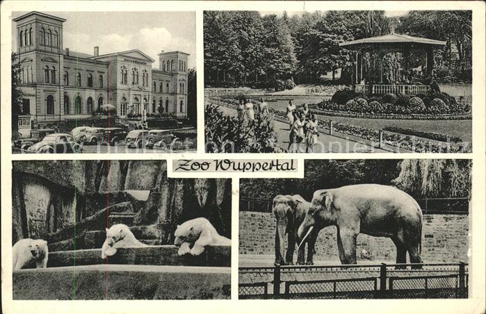 Zoo Wuppertal Eisbären Elefanten