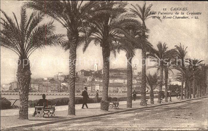 Cannes Alpes-Maritimes Palmiers de la Croisette