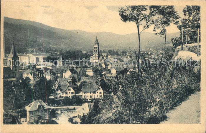 Munster Chateau-Salins Vue generale