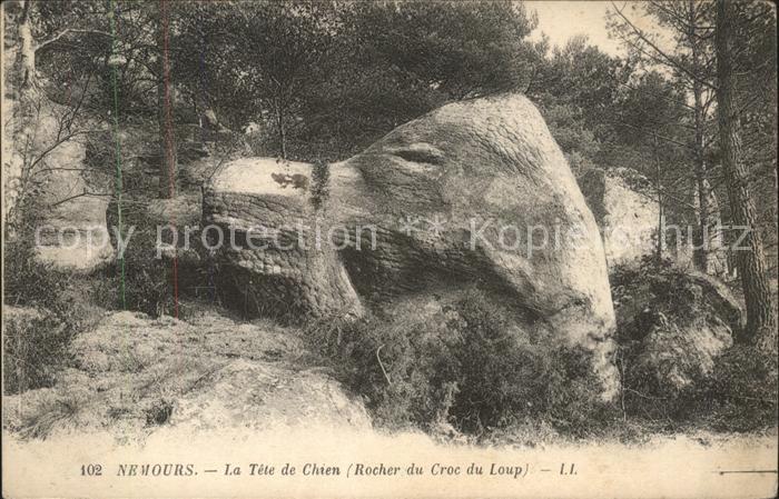 Nemours Seine-et-Marne Tete de Chien
