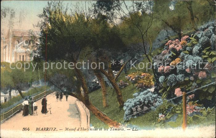 Biarritz Pyrenees Atlantiques Hortensias Tamaris