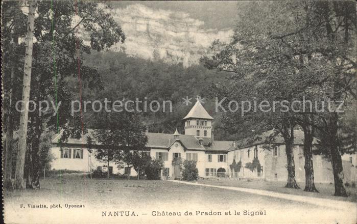 Nantua Chateau de Pradon et le Signal