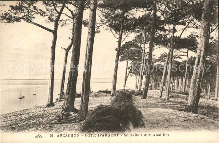 Arcachon Gironde Cote d Argent