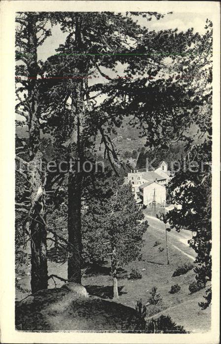 Font-Romeu-Odeillo-Via Paysage vers l Ermitage