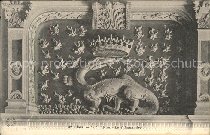 Blois 41 Chateau La Salamndre