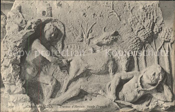 Blois 41 facade Francois