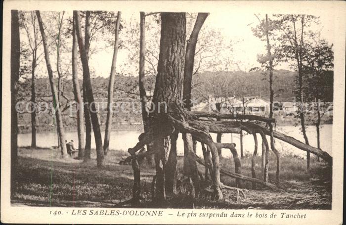 Les Sables-d Olonne Le pin supsendu