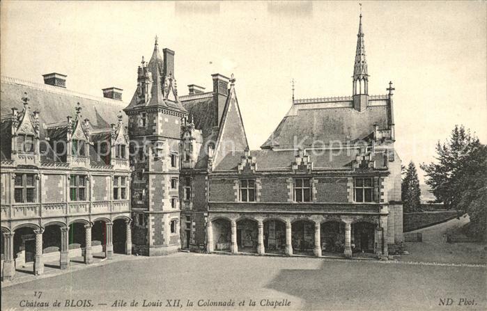 Blois 41 Chateau