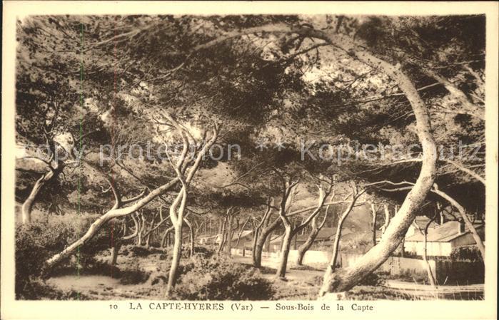 Hyeres Sous Bois de la Capte