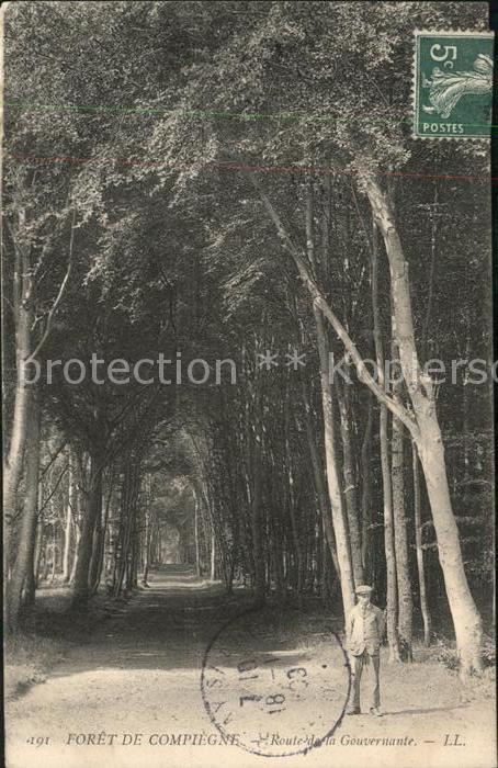 Compiegne Oise Foret Gouvernante