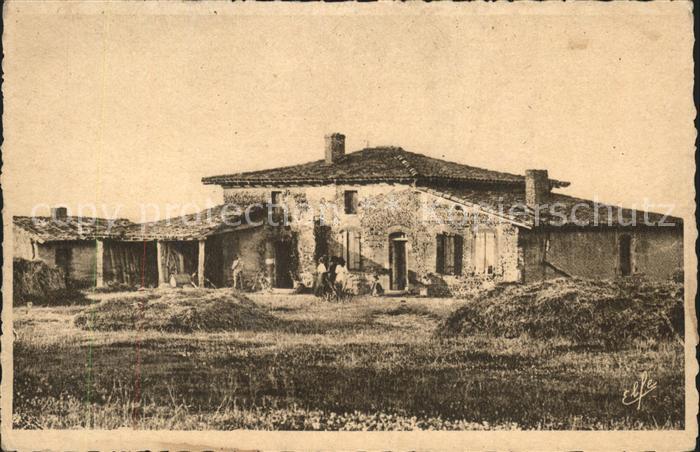 Pyrenees Region Ocean Pibrac