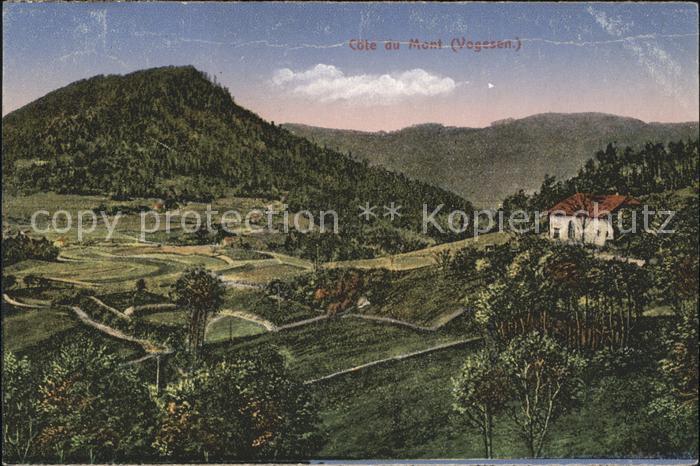 Alsace Elsass Cote du Mont Panorama