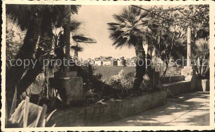 Dubrovnik Ragusa Palmen Blick zur Festung