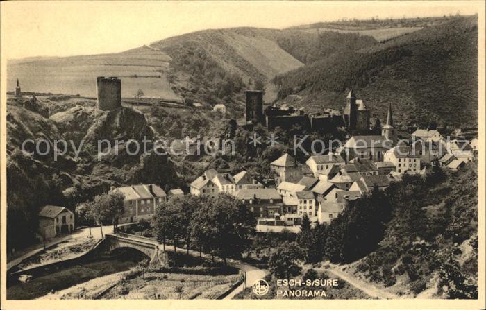 Esch-sur-Sure Panorama Chateau