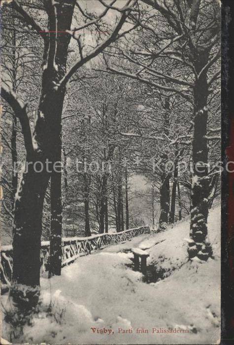 Visby Parti fran Palissaderna