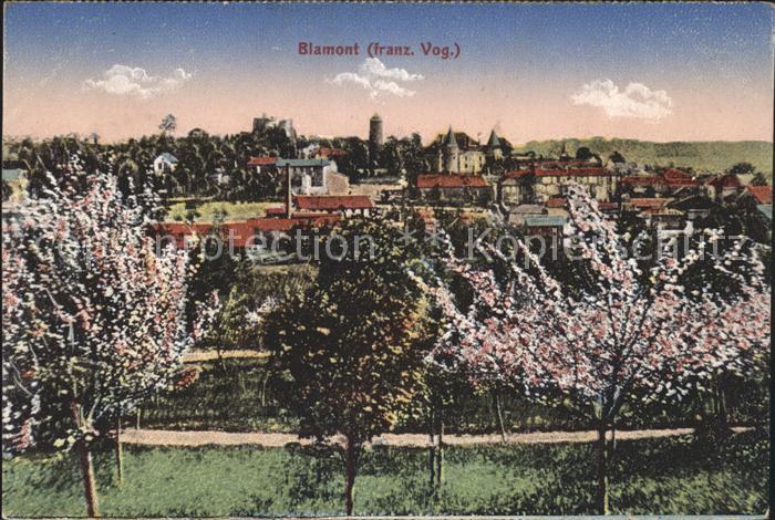 Blamont Doubs Gesamtansicht Baumblüte